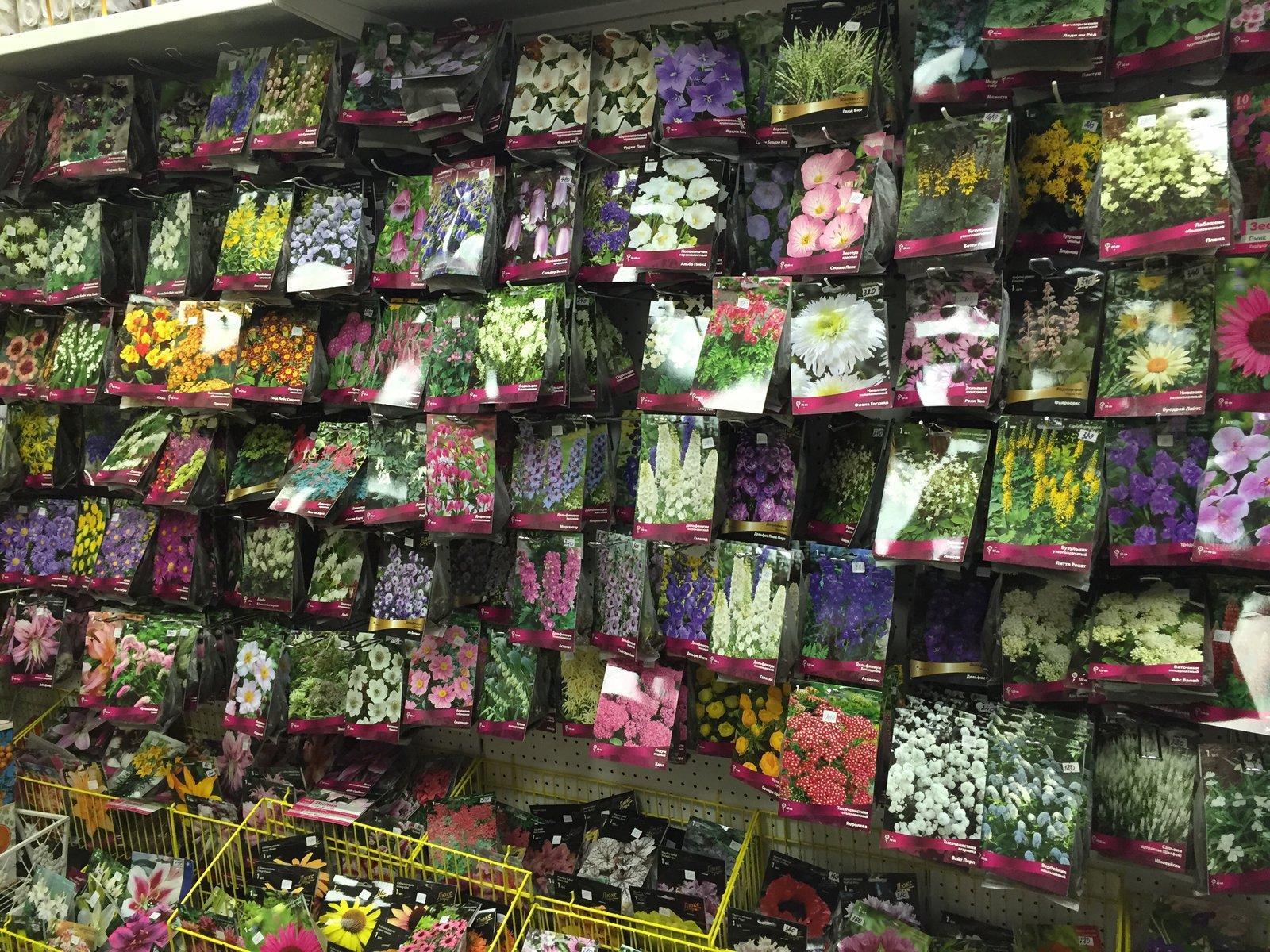 Магазин семян оптом семена тут. Магазин семян. Магазин семян ассортимент. Магазин цветов и семян. Европейские магазины семян.